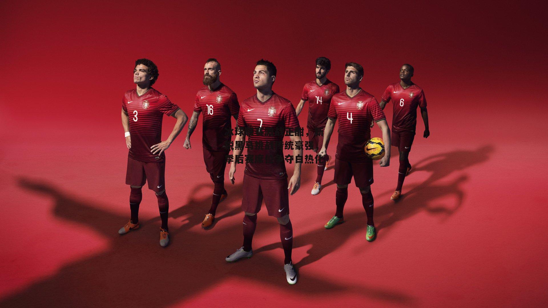 冰球联赛激战正酣，新锐黑马挑战传统豪强，季后赛席位争夺白热化