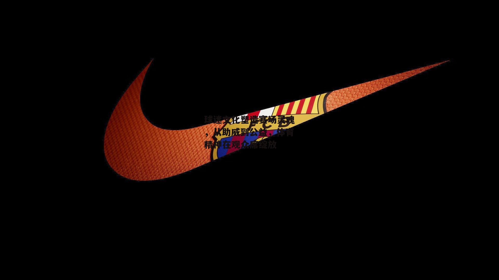 球迷文化塑造赛场灵魂，从助威到公益，体育精神在观众席绽放